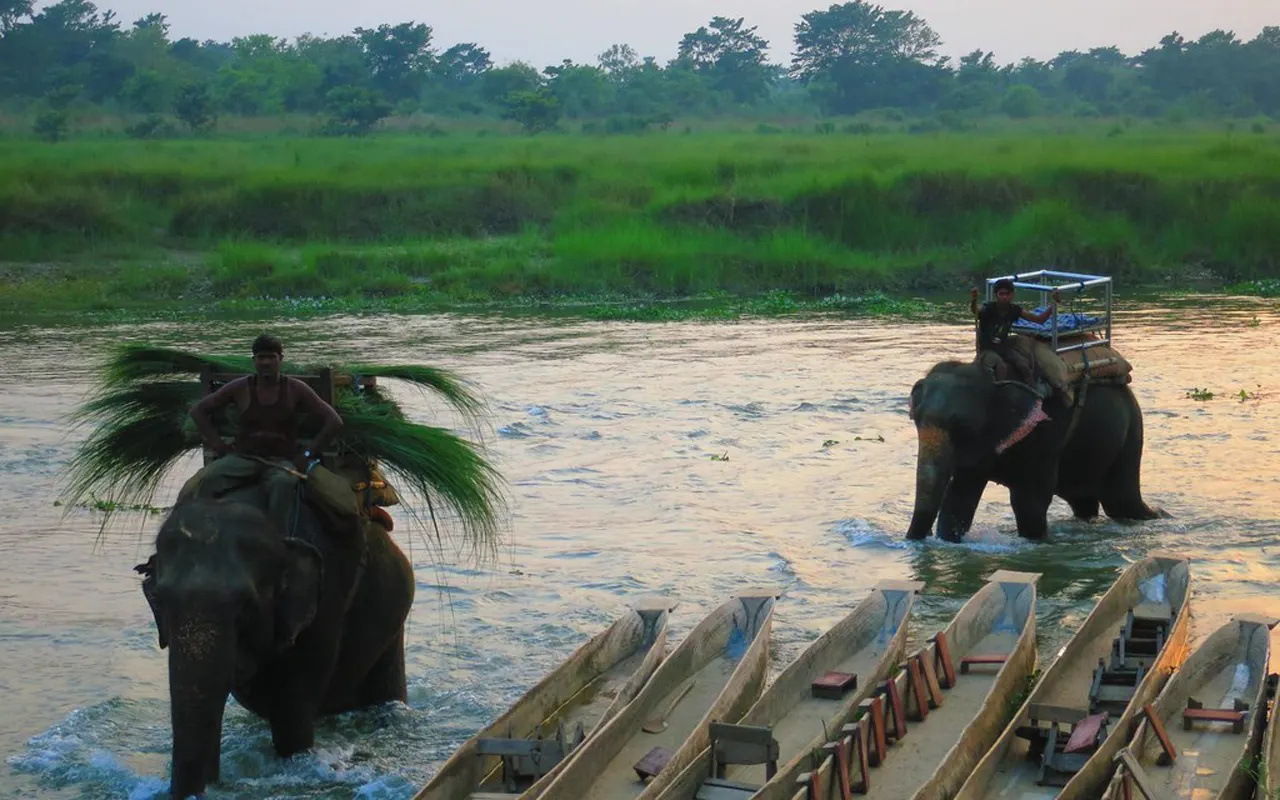 Chitwan National Park view