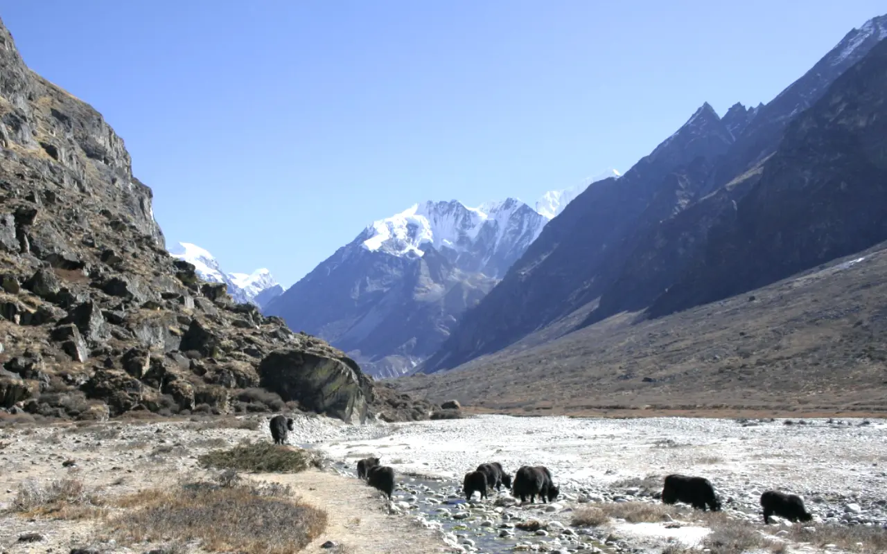 Langtang Valley