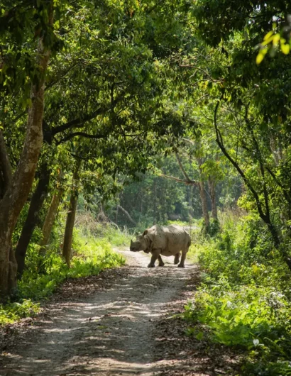 Chitwan National Park