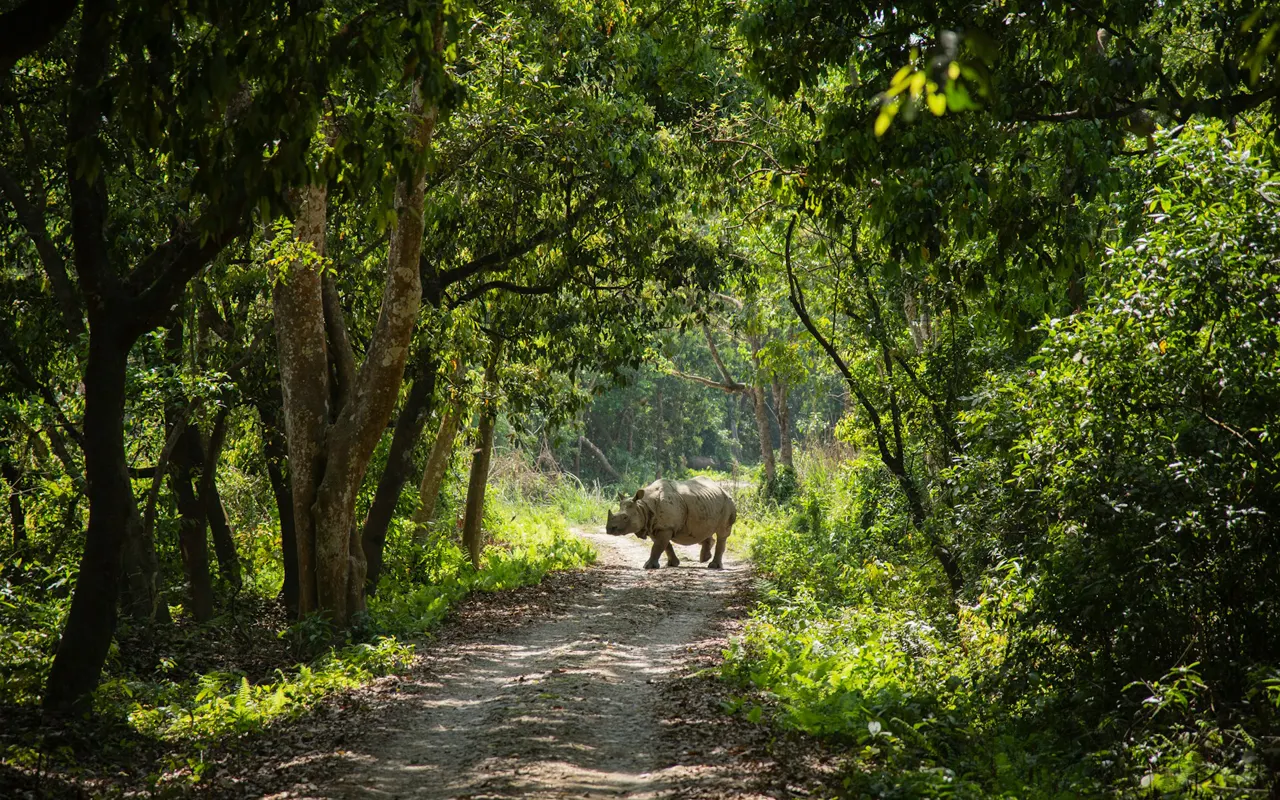 Chitwan National Park