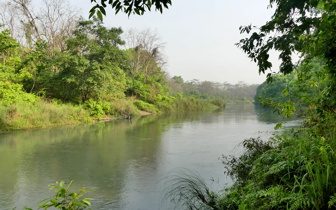 Bardiya National Park