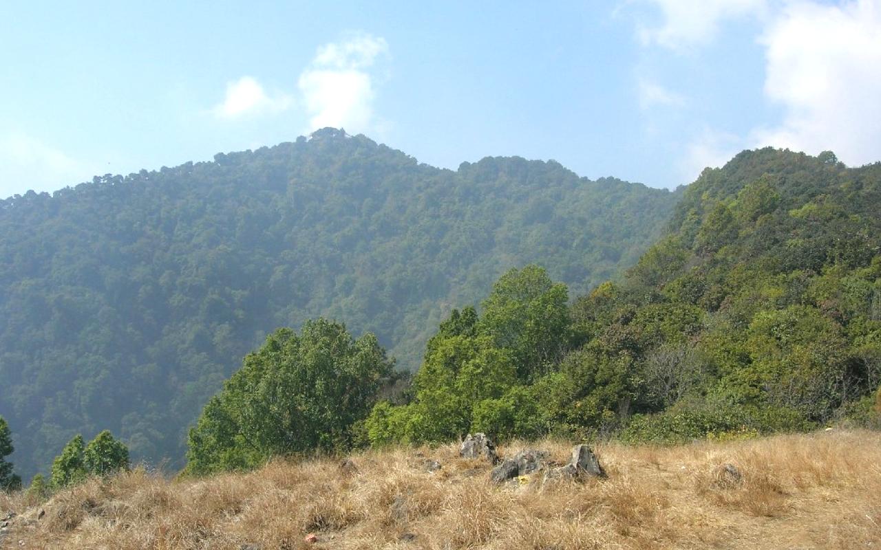 Nagarjun (Jamacho) Forest