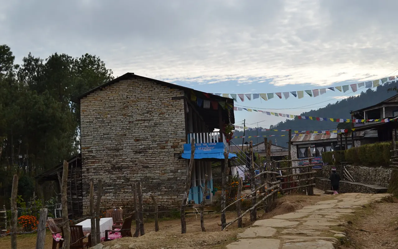 Dhampus Australian Camp Trek