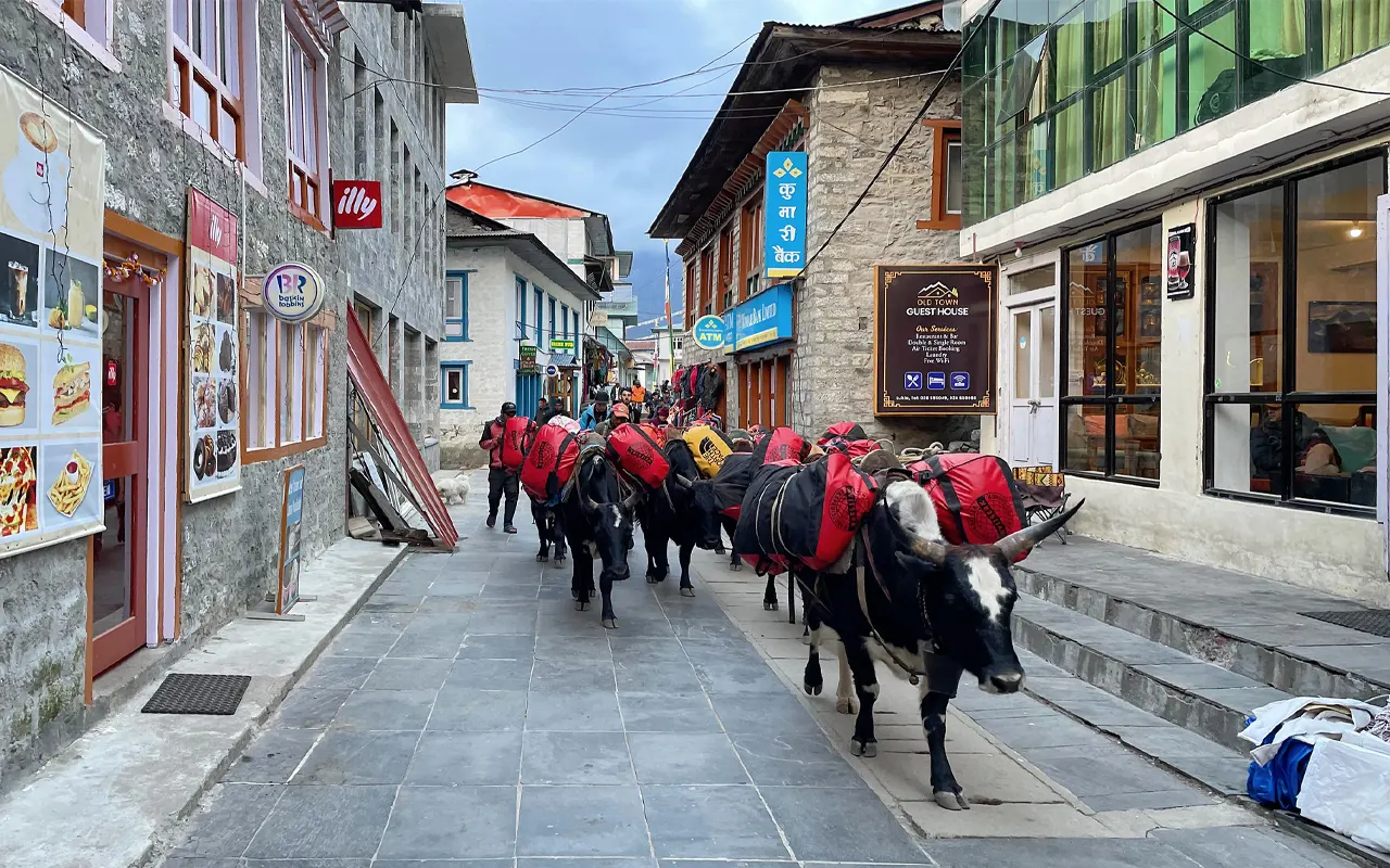 Lukla trek
